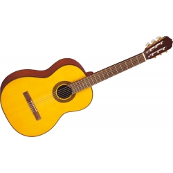Takamine G124